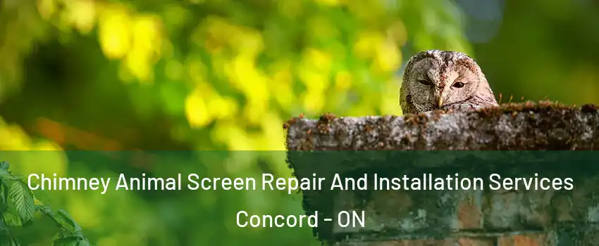  Chimney Animal Screen Repair And Installation Services Concord - ON