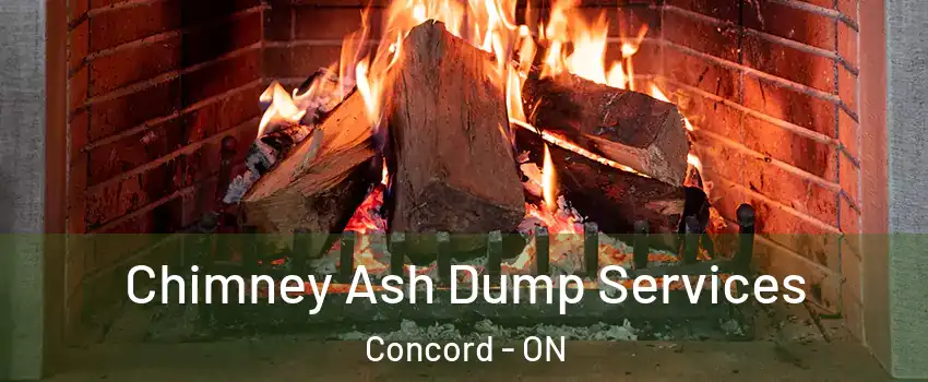  Chimney Ash Dump Services Concord - ON
