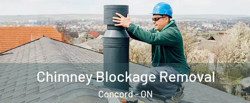  Chimney Blockage Removal Concord - ON