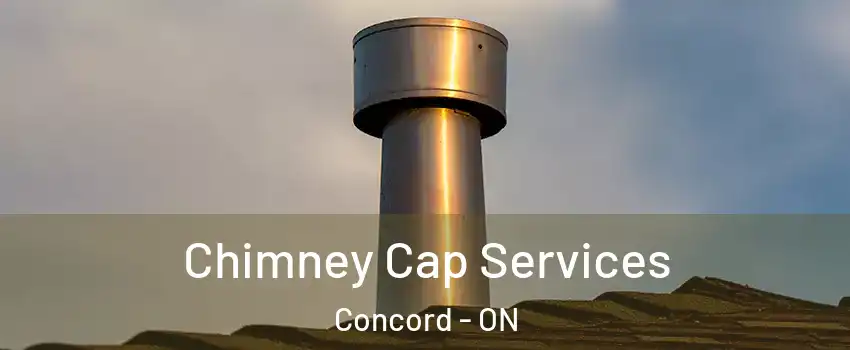  Chimney Cap Services Concord - ON