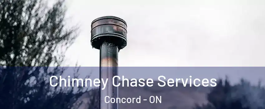 Chimney Chase Services Concord - ON