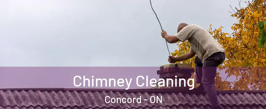  Chimney Cleaning Concord - ON
