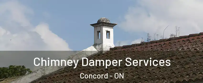  Chimney Damper Services Concord - ON