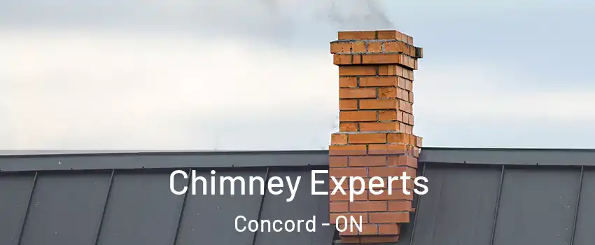 Chimney Experts Concord - ON