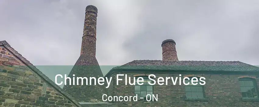  Chimney Flue Services Concord - ON