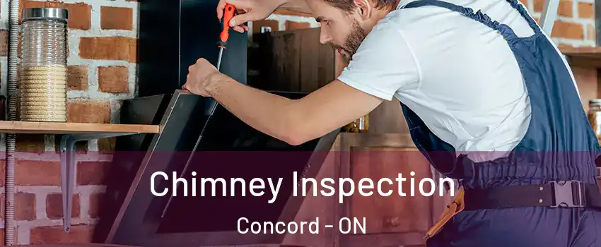  Chimney Inspection Concord - ON