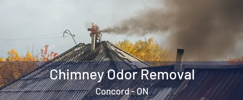  Chimney Odor Removal Concord - ON