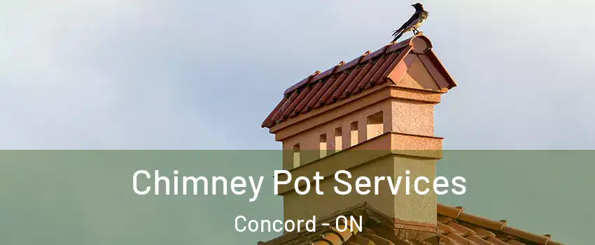  Chimney Pot Services Concord - ON