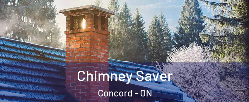  Chimney Saver Concord - ON