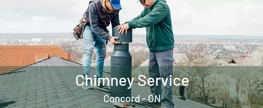  Chimney Service Concord - ON