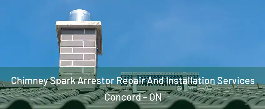  Chimney Spark Arrestor Repair And Installation Services Concord - ON