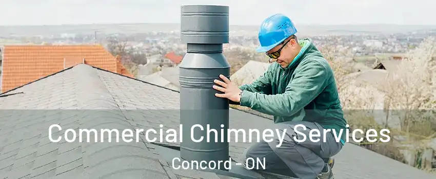  Commercial Chimney Services Concord - ON
