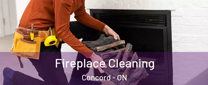  Fireplace Cleaning Concord - ON