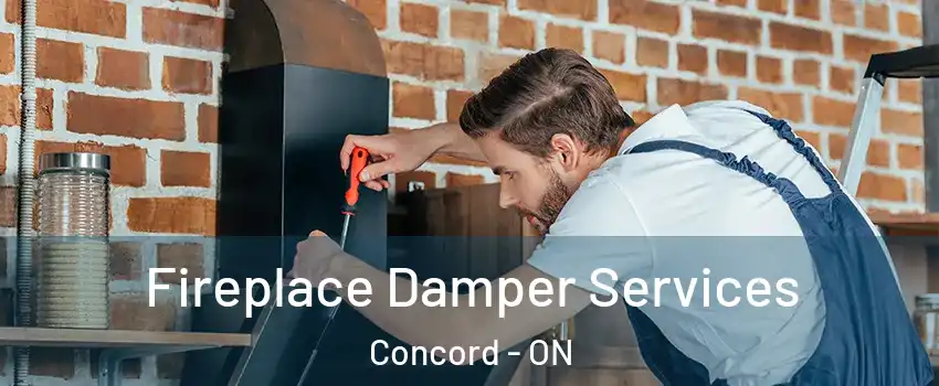  Fireplace Damper Services Concord - ON