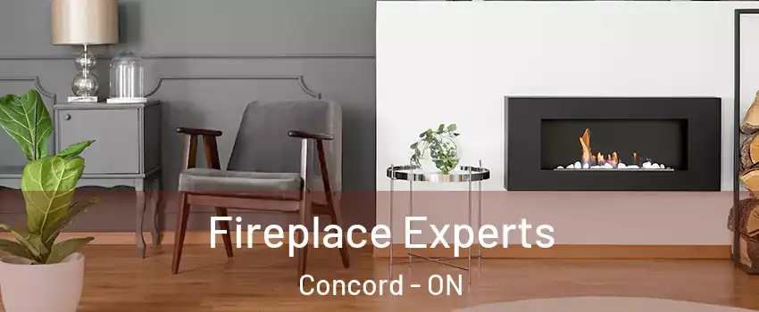  Fireplace Experts Concord - ON