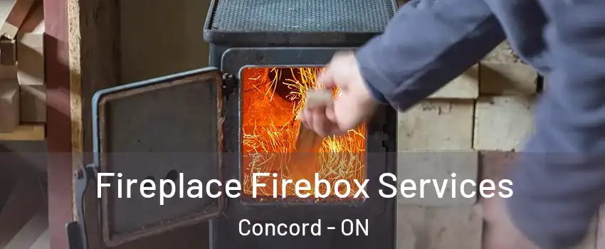  Fireplace Firebox Services Concord - ON