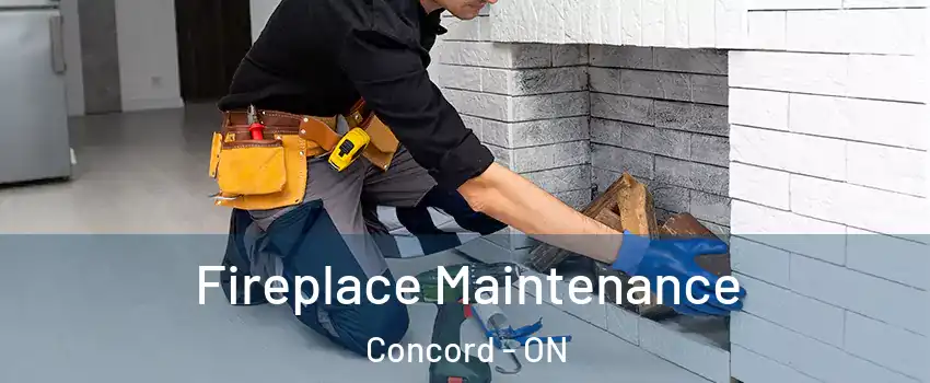  Fireplace Maintenance Concord - ON