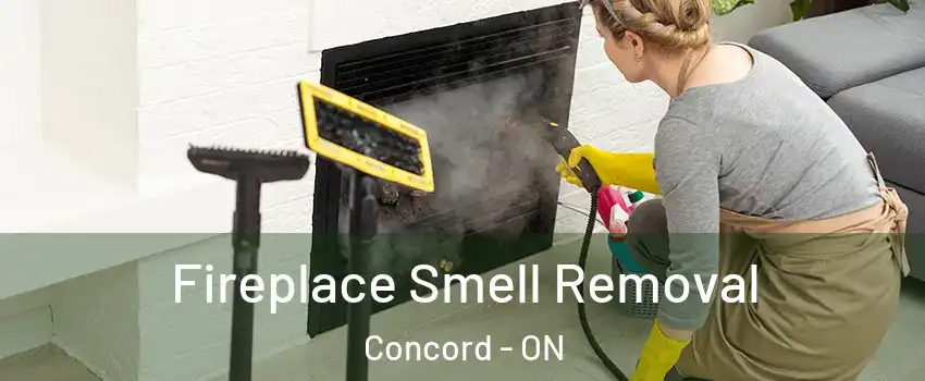  Fireplace Smell Removal Concord - ON