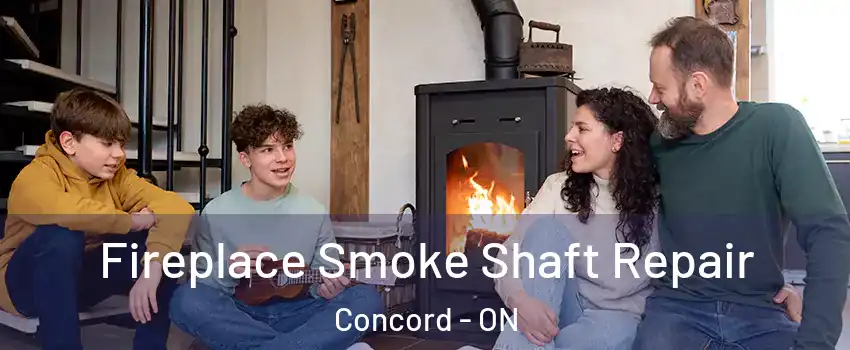  Fireplace Smoke Shaft Repair Concord - ON