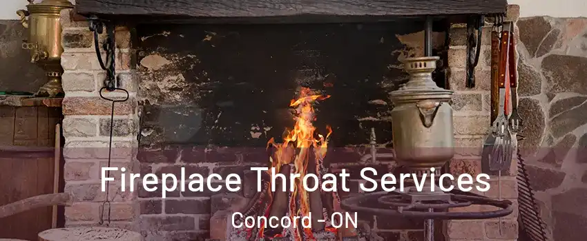 Fireplace Throat Services Concord - ON