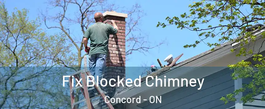  Fix Blocked Chimney Concord - ON