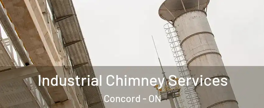  Industrial Chimney Services Concord - ON
