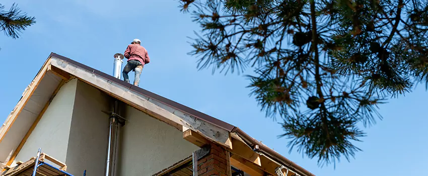 Birds Removal Contractors from Chimney in Concord, ON