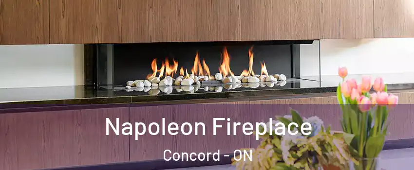  Napoleon Fireplace Concord - ON